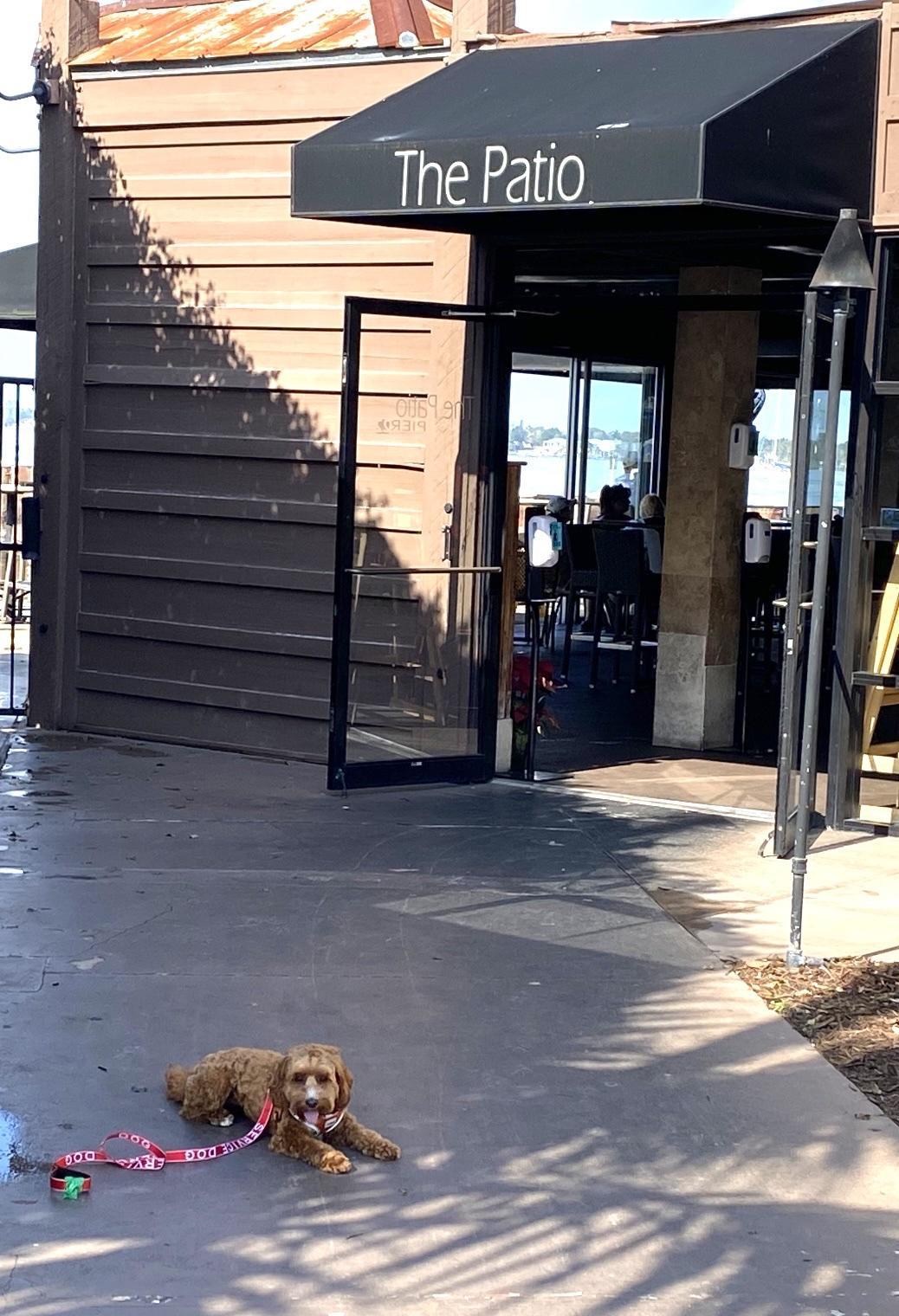 Pier 22 restaurant view 1