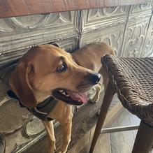 City Cellar Wine Bar & Grill restaurant view 1