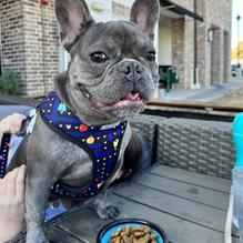 The Tavern at Lakeside restaurant view 1