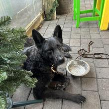 Fish Tales restaurant view 2