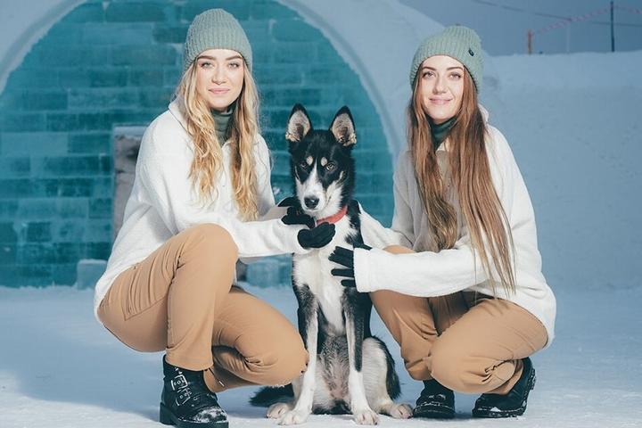 Pet-friendly igloo vacation rental.