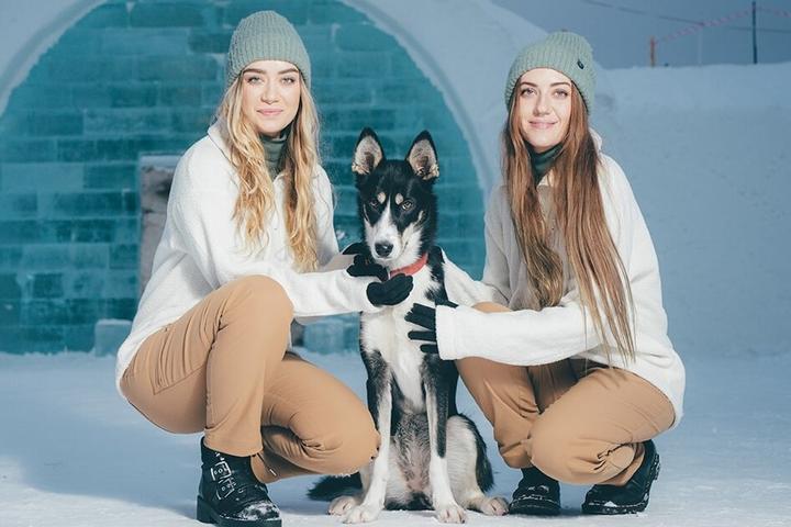 Dog-Friendly Igloo Rentals