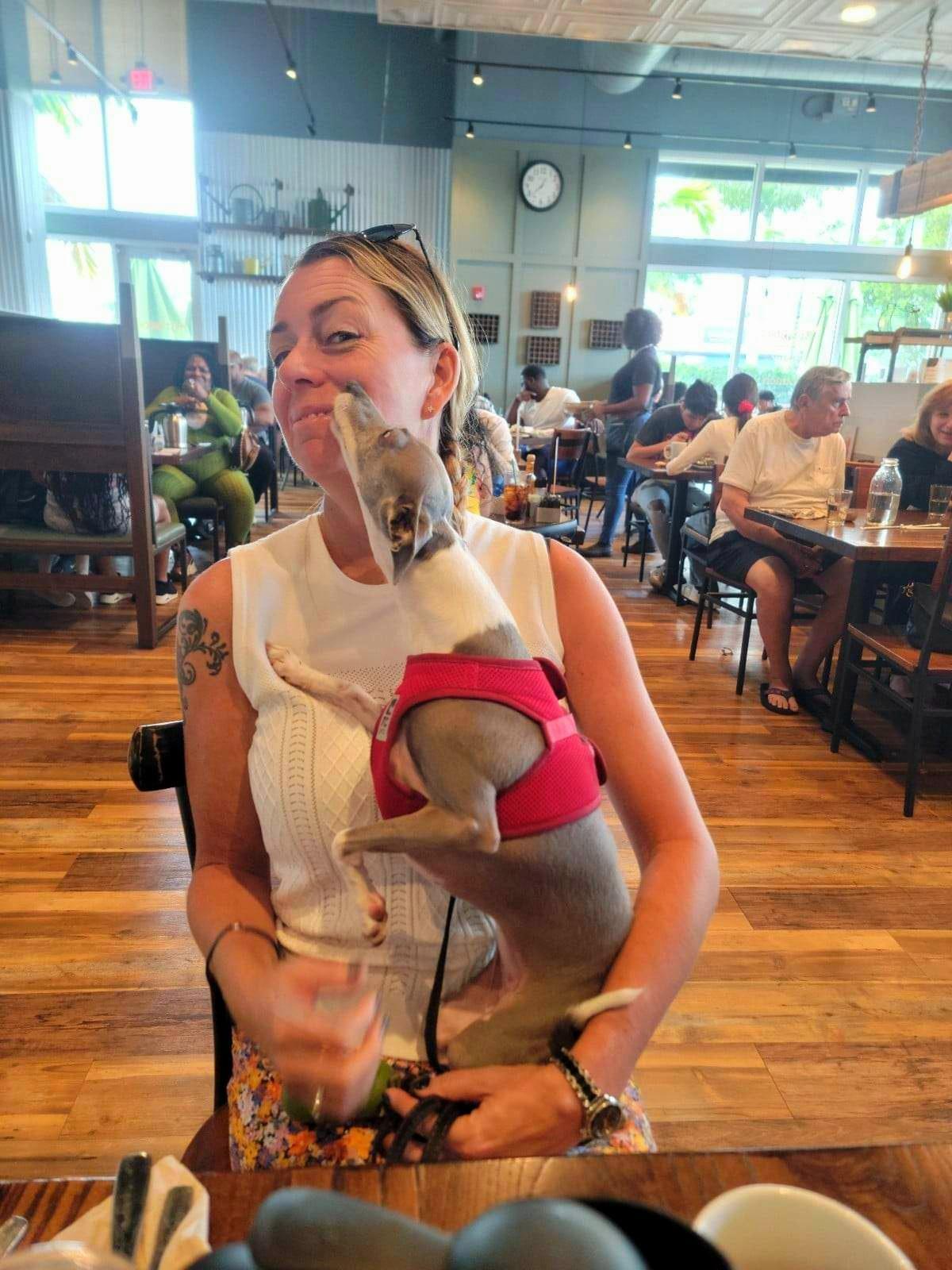 First Watch restaurant view 2