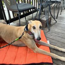 City Diner restaurant view 1