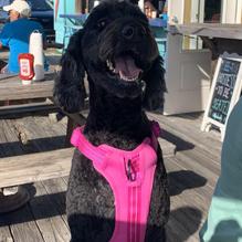 TC's Front Porch restaurant view 1