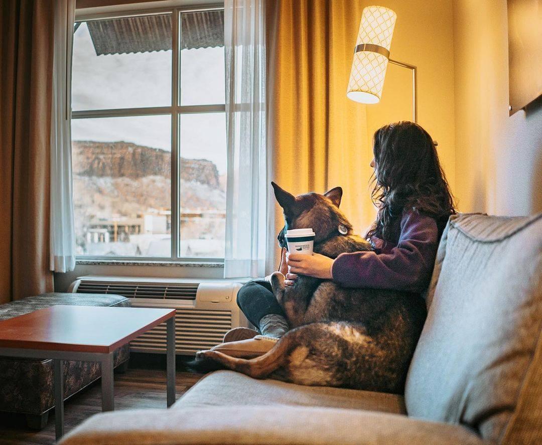 The Most Pet-Friendly Hotels in America — Dog-Friendly Hotels