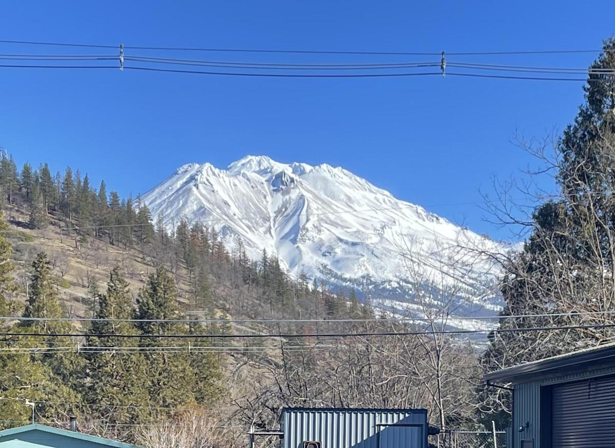 Mt. Shasta Brewing Co. restaurant view 2