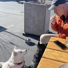 Mt. Shasta Brewing Co. restaurant view 4