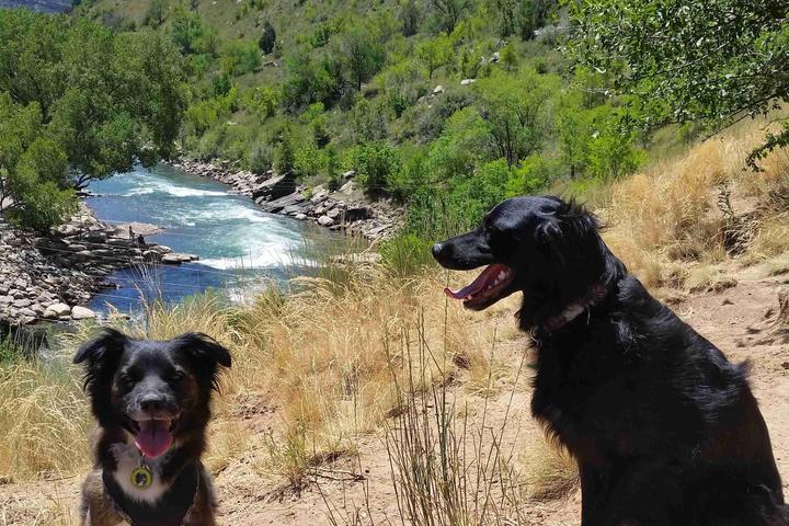 Pet Friendly Durango Off-Leash Dog Park