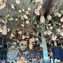 Rampart Treehouse restaurant view 1
