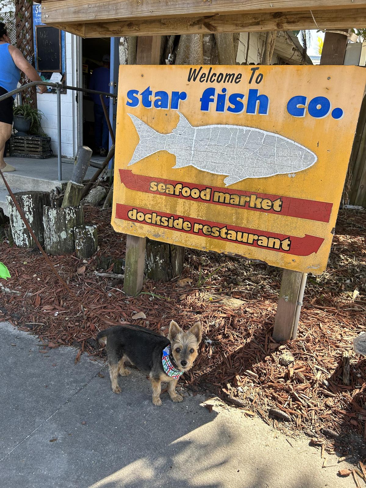 Star Fish Company restaurant view 1