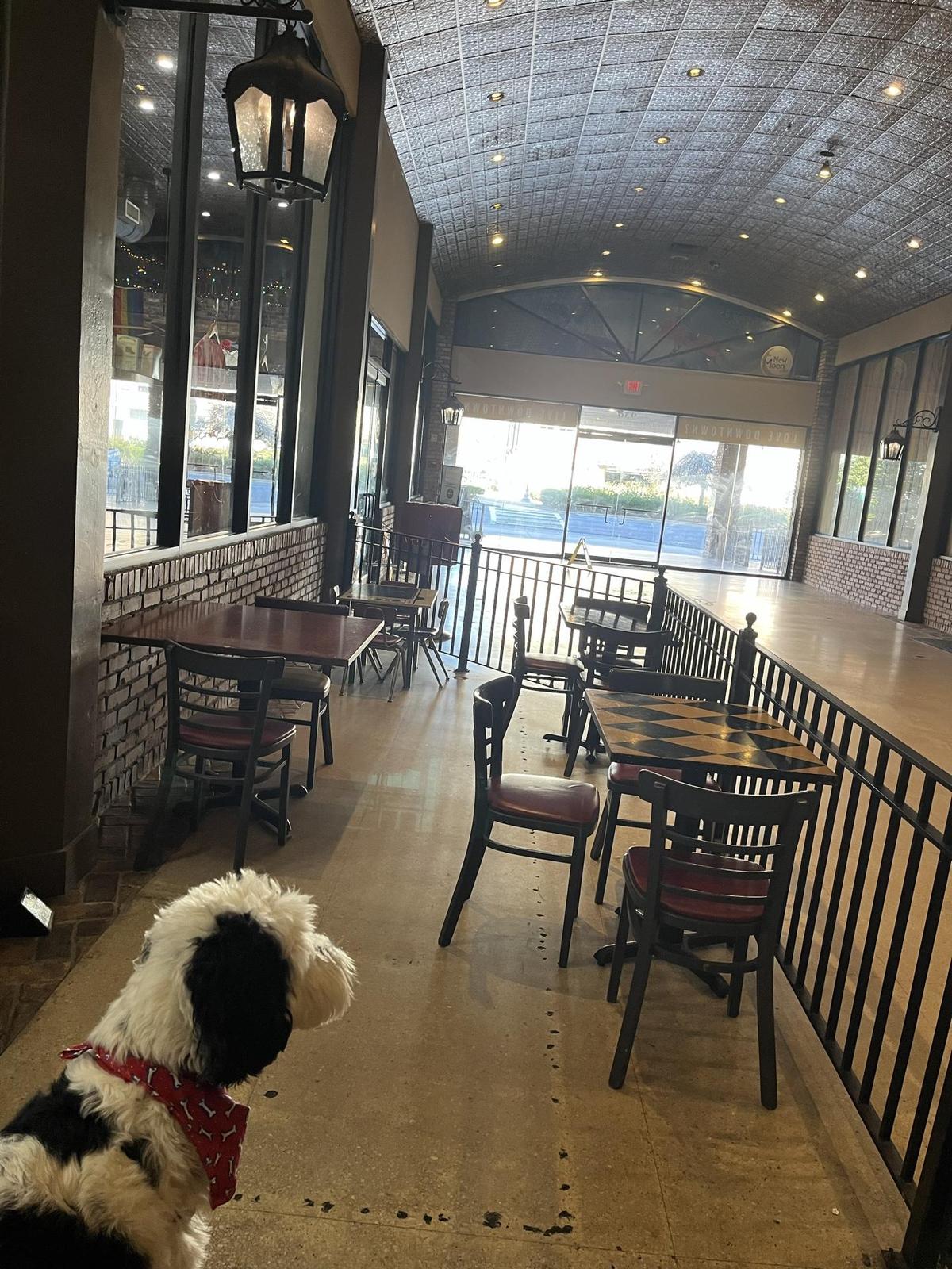 New Moon Cafe restaurant view 4
