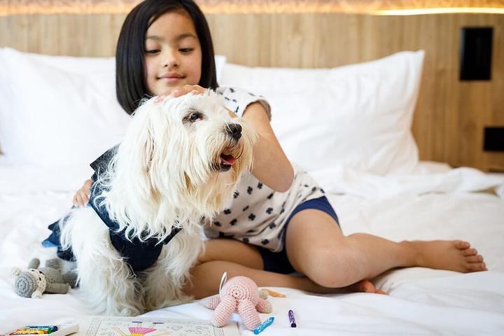 Child and dog enjoy new pet-friendly hotel.