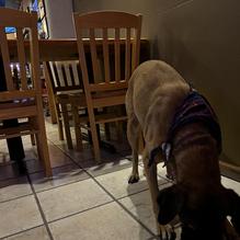 Platte Valley Taphouse restaurant view 2