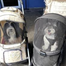 Hurricane Dockside Grill restaurant view 2