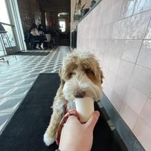 Bovaconti Coffee restaurant view 2