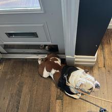 First and South restaurant view 1