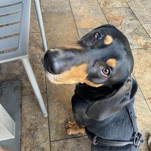 Buffalo Wings & Rings restaurant view 3