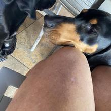 Buffalo Wings & Rings restaurant view 2