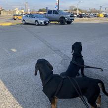 Buffalo Wings & Rings restaurant view 1