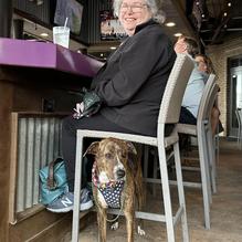 Groovy Goat restaurant view 4