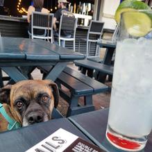 Mash'D restaurant view 1