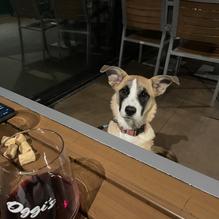 Oggi's restaurant view 1