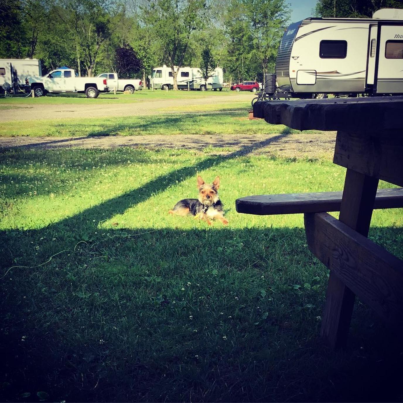 Pet Friendly Willow Lake Campground