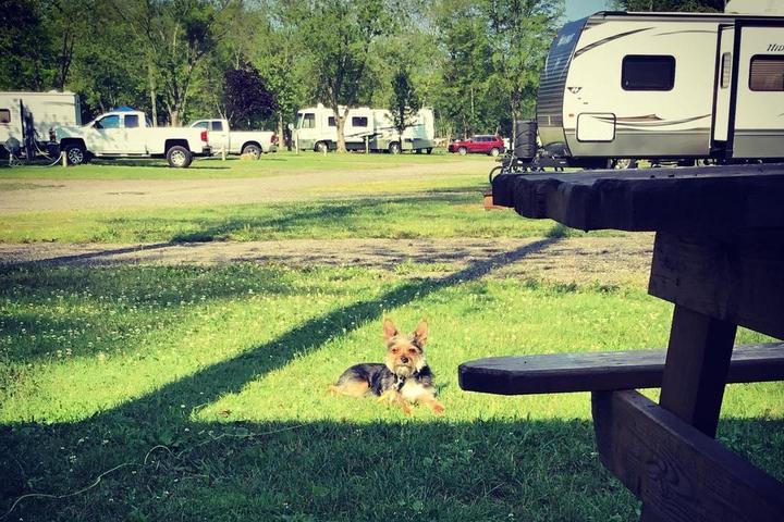 Pet Friendly Willow Lake Campground