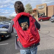 The Hub Grill and Bar restaurant view 2