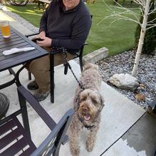 Mad Love Eat & Drink restaurant view 3