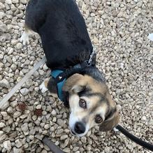 Backwoods Crossing restaurant view 3