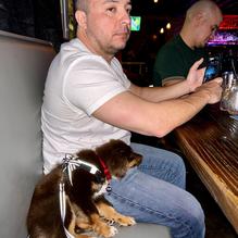 Locale Gastropub restaurant view 1