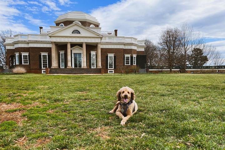 Pet Friendly Thomas Jefferson's Monticello