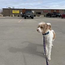 Spicy Mike's Bar-B-Q Haven restaurant view 1