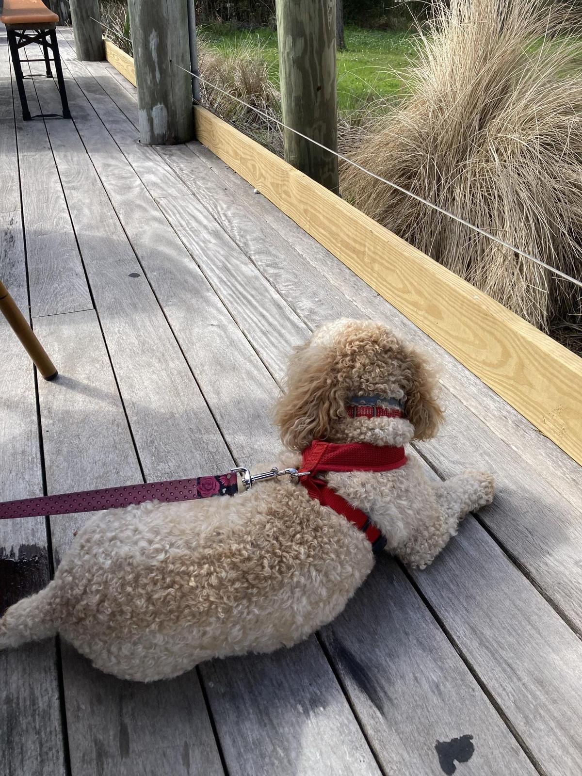 GT's on the Bay restaurant view 5