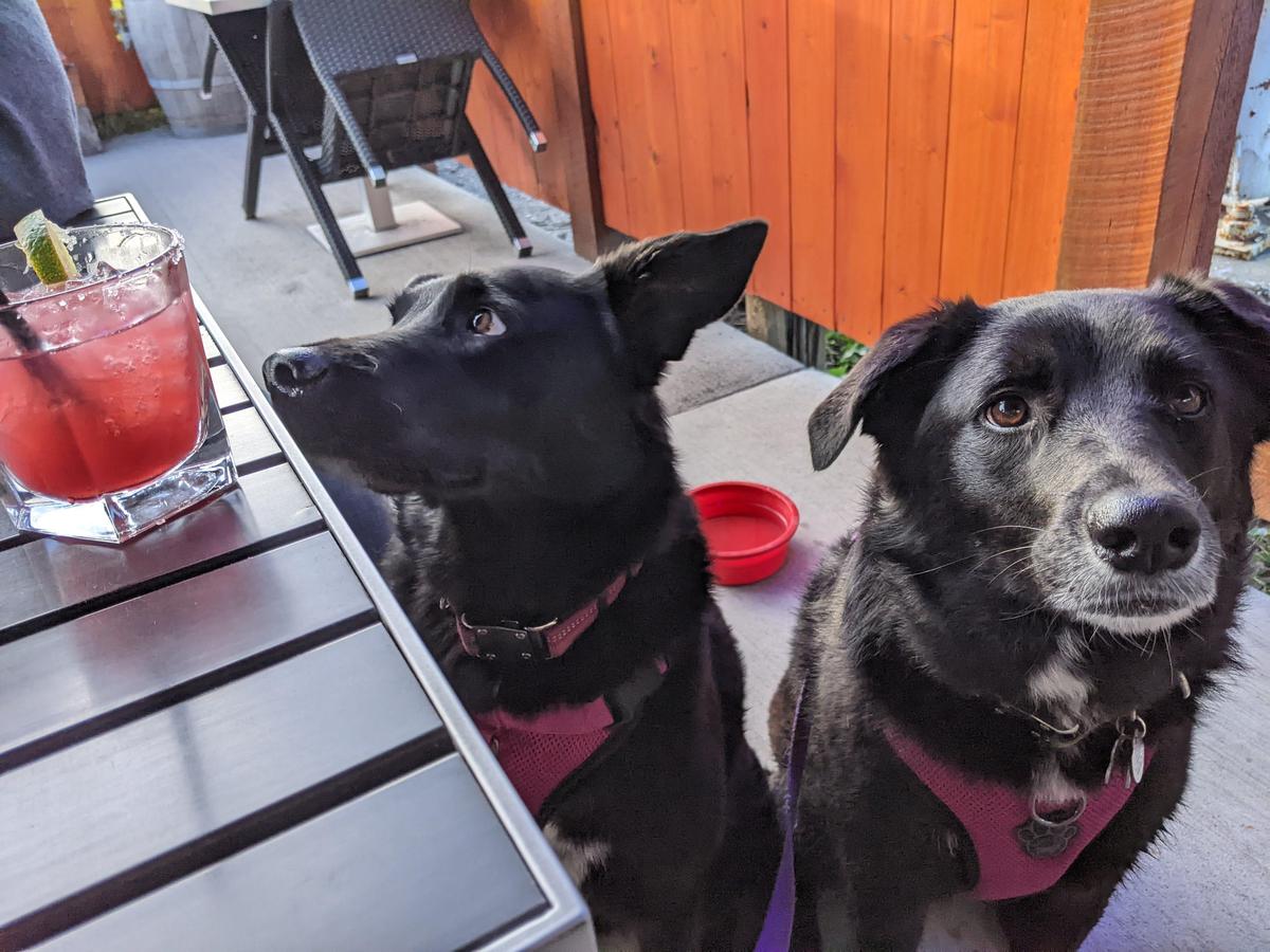 Bear & Bone Burger Co. restaurant view 1