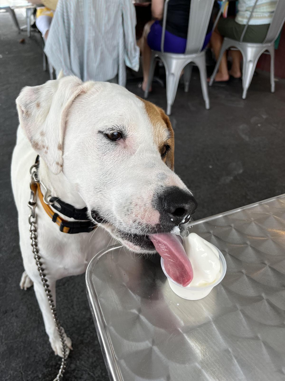 Frostbite Ice Cream & More restaurant view 1