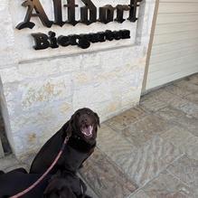 Altdorf Biergarten restaurant view 2