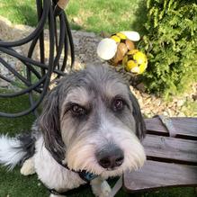 Mad Love Eat & Drink restaurant view 2