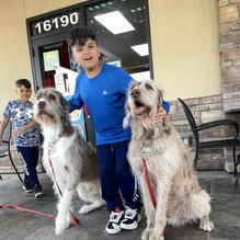 Dairy Queen restaurant view 2