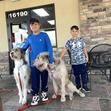 Dairy Queen restaurant view 1