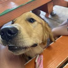 Chicken in a Barrel BBQ restaurant view 1