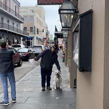 New Orleans Creole Cookery restaurant view 2