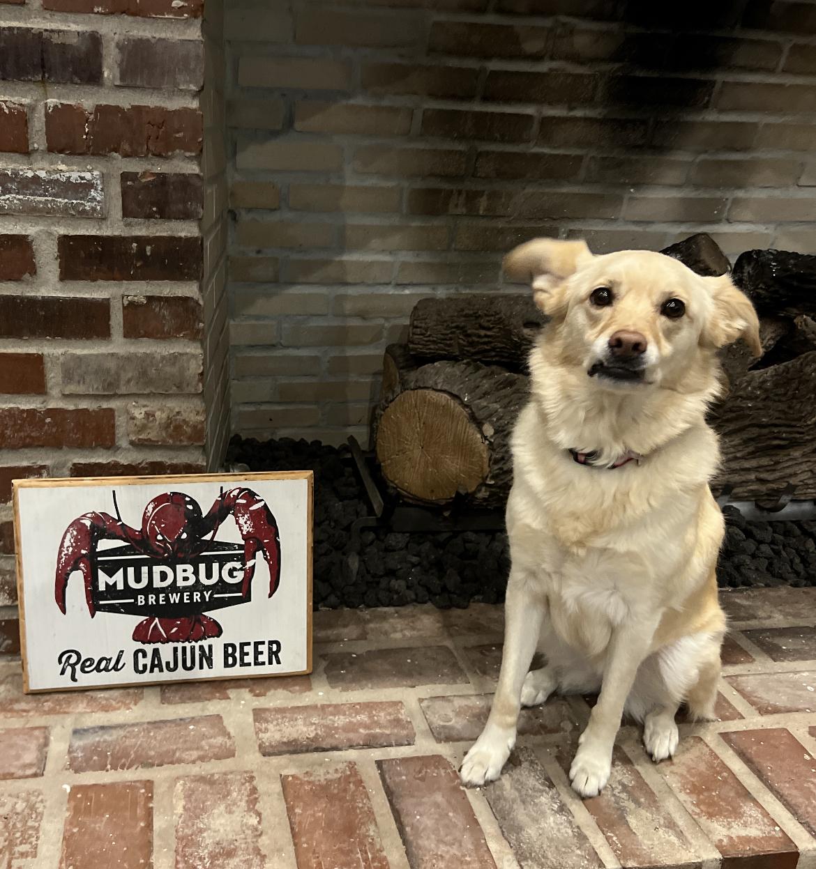 Pet Friendly Mudbugs Brewery