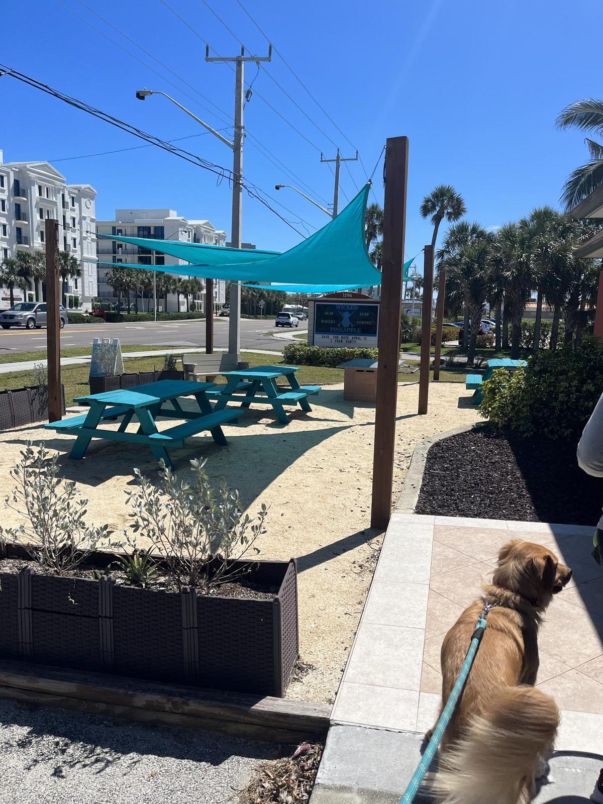 The Wicked Pineapple restaurant view 1