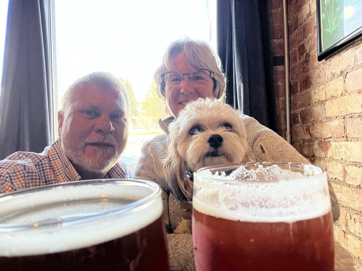 Sophisticated Hound Brewing Company restaurant view 1