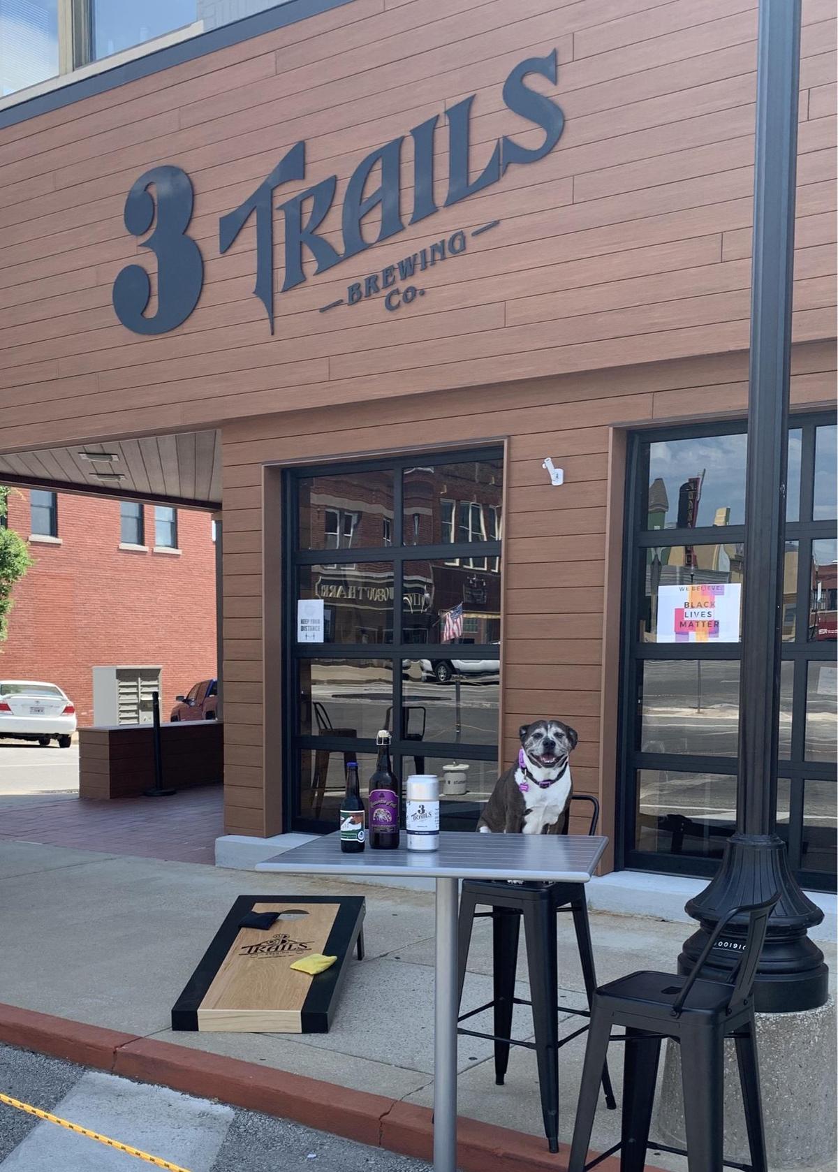 3 Trails Brewing Co. restaurant view 1