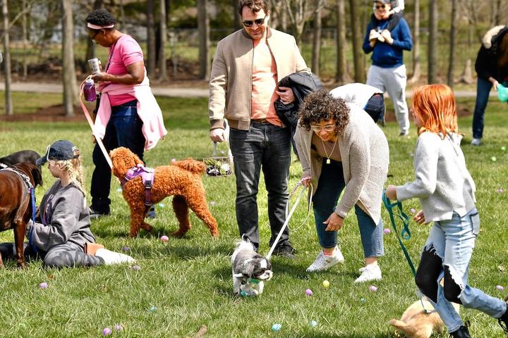 Easter Egg Hunts and Other Upcoming April Events