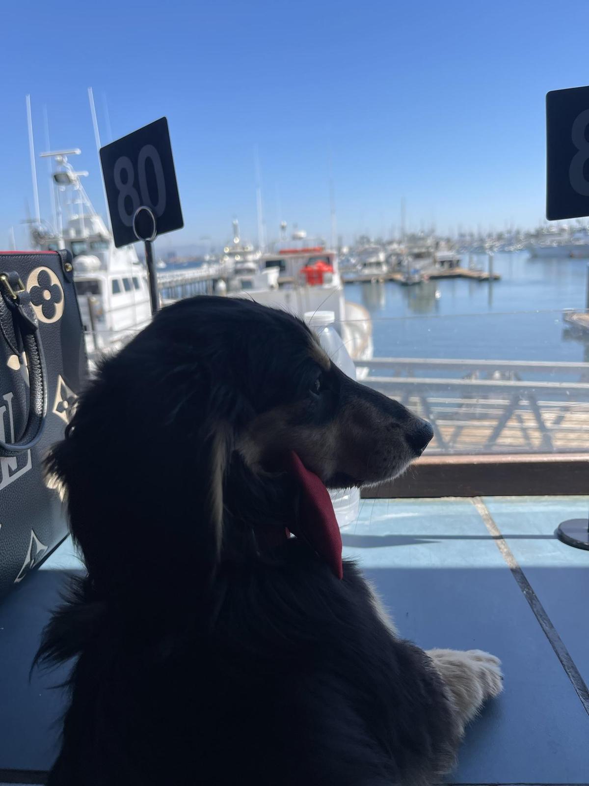 Mitch's Seafood restaurant view 1